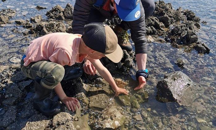 A sea side safari to fine the hiding world in the rock pools!